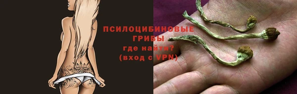 метадон Абаза