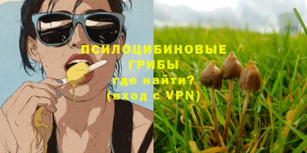 MDMA Няндома
